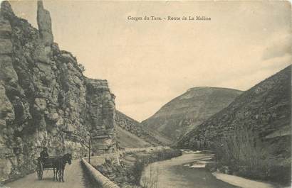 CPA FRANCE 48 "Gorges du Tarn, Route de La Malène"