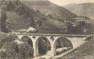 74 Haute Savoie CPA FRANCE 74 "Env. du Biot, Pont de la Tassonnière"