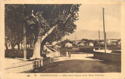 CPA FRANCE 84 "Carpentras, Allée Jean Jaurès et le Mont Ventoux"