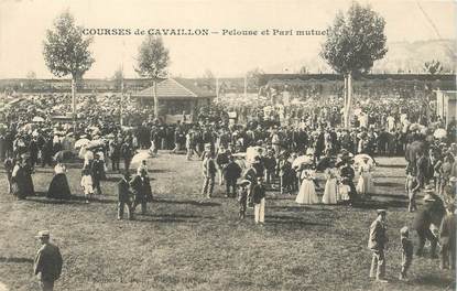 CPA FRANCE 84 "Cavaillon, Champ de course"