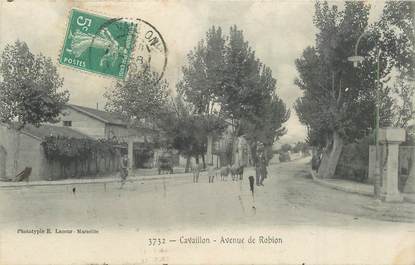 CPA FRANCE 84 "Cavaillon, avenue de Robion"