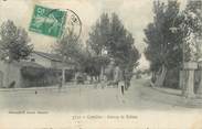 84 Vaucluse CPA FRANCE 84 "Cavaillon, avenue de Robion"