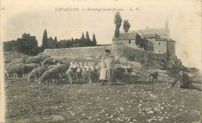 CPA FRANCE 84 "Cavaillon, Ermitage Saint Jacques"