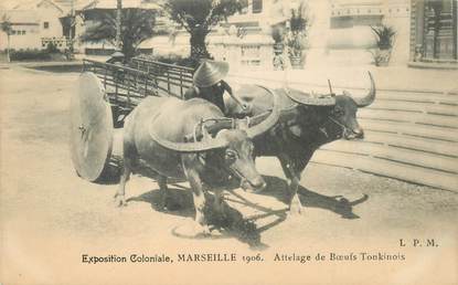 CPA FRANCE 13 "Marseille, Exposition Coloniale, 1906" / VIETNAM, attelage de boeufs tonkinois