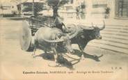13 Bouch Du Rhone CPA FRANCE 13 "Marseille, Exposition Coloniale, 1906" / VIETNAM, attelage de boeufs tonkinois