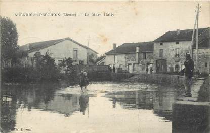 CPA FRANCE 55 "Aulnois en Perthois, la mare Hally"