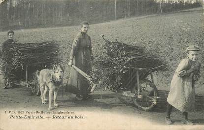 CPA BELGIQUE "Petite espinette, le retour du bois"