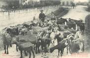 31 Haute Garonne CPA FRANCE 31 "Troupeau de chèvres et le chevrier"