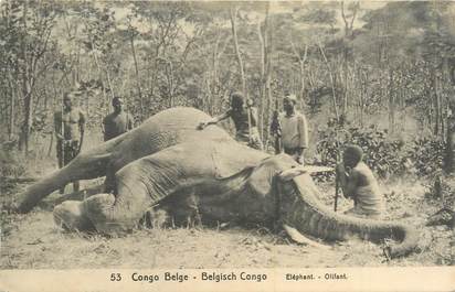 CPA CONGO BELGE / ELEPHANT