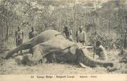 Afrique CPA CONGO BELGE / ELEPHANT