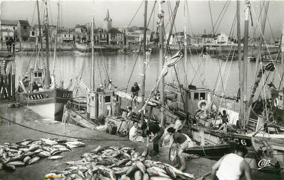 CPSM FRANCE 85 "les Sables d'Olonne, le port, débarquement de thons"