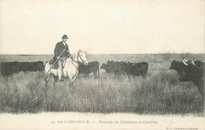 CPA FRANCE 13 / CAMARGUE / TAUREAU