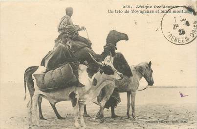 CPA SENEGAL "Trio de voyageurs"