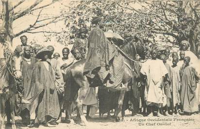 CPA SENEGAL "Chef Ouolof"