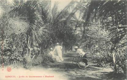 CPA DJIBOUTI "Jardin du Gouvernement à Hambouli"