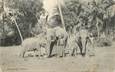CPA INDE / CEYLAN "Colombo, Éléphants"