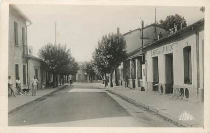 CPSM TUNISIE "Ain Draham, rue principale"