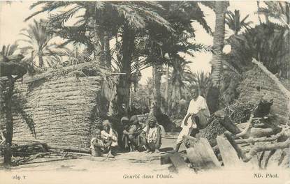 CPA TUNISIE "Gourbi dans l'Oasis"