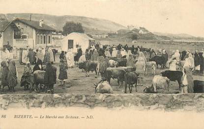 CPA TUNISIE "Bizerte, le marché aux bestiaux"