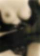 Theme PHOTOGRAPHIE NU / EROTIQUE