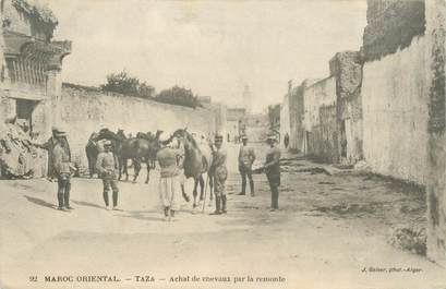 CPA MAROC "Taza, achat de chevaux"