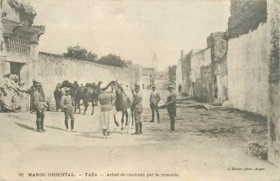 CPA MAROC "Taza, achat de chevaux"