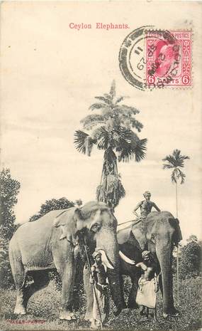 CPA SRI LANKA CEYLAN / ELEPHANT