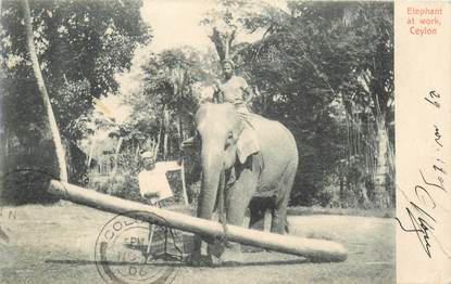 CPA SRI LANKA CEYLAN / ELEPHANT