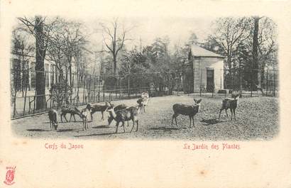 CPA FRANCE 75 "Paris, Le Jardin des Plantes"