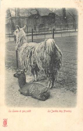 CPA FRANCE 75 "Paris, Le Jardin des Plantes"