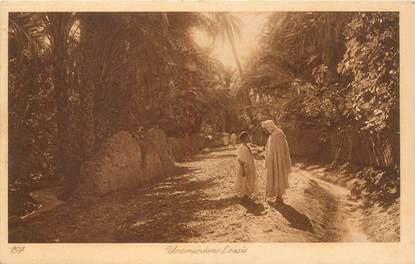 CPA SCENES ET TYPES / LEHNERT & LANDROCK / TRES BON ETAT "Une rue dans l'Oasis, N°157"