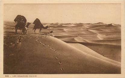 CPA SCENES ET TYPES / LEHNERT & LANDROCK / TRES BON ETAT "Les Grandes dunes, N° 266"