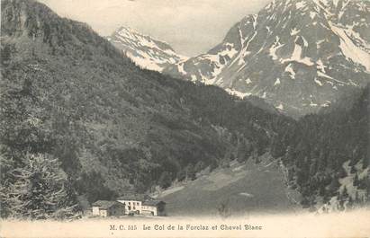 CPA FRANCE 74 "Le Col de la Forclaz et le Cheval Blanc"