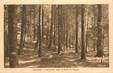 CPA FRANCE 74 "Mijouet, sous bois dans la foret du Marais"