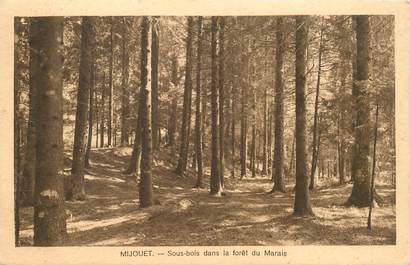 CPA FRANCE 74 "Mijouet, sous bois dans la foret du Marais"