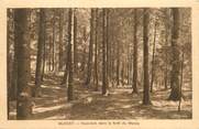 74 Haute Savoie CPA FRANCE 74 "Mijouet, sous bois dans la foret du Marais"