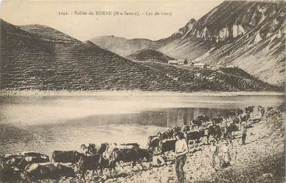 CPA FRANCE 74 "Vallée du Borne, Lac de Lessy"