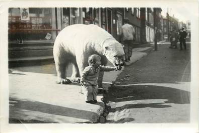 CARTE PHOTO / PHOTOGRAPHIE ORIGINALE EXPEDITION POLAIRE / NORVEGE HAMMERFEST / OURS