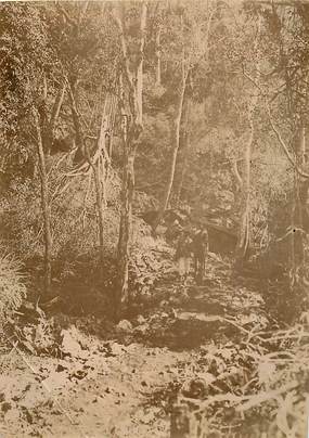 PHOTOGRAPHIE ORIGINALE / MADAGASCAR "Chemin dans les gorges d'Antanak"