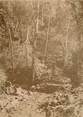 Afrique PHOTOGRAPHIE ORIGINALE / MADAGASCAR "Chemin dans les gorges d'Antanak"