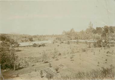 PHOTOGRAPHIE ORIGINALE / MADAGASCAR "Jardin d'Essai de Ivoloina"