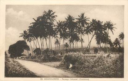 CPA GUADELOUPE "Paysage colonial, cocotiers"