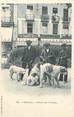 65 Haute PyrÉnÉe / CPA FRANCE 65 "Cauterets, chien des Pyrénées"