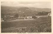 69 RhÔne CPA FRANCE 69 "Fleurie, Montgenas et les Rochaux"