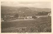 69 RhÔne CPA FRANCE 69 "Fleurie, Montgenas et les Rochaux"