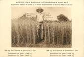 49 Maine Et Loire / CPA FRANCE 49 "Avrillé, action des engrais potassiques sur le blé"
