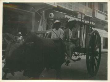 CPA / PHOTOGRAPHIE GUADELOUPE "Pointe à Pitre, Attelage de zébu dans la rue principale, 1936"