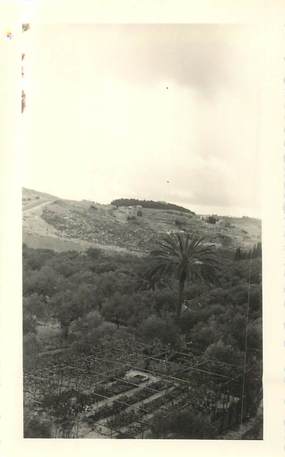 CPA / PHOTOGRAPHIE ISRAEL "1960, Vallée de Josaphat"