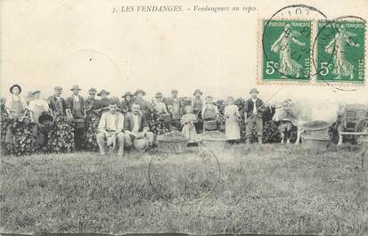 / CPA FRANCE 71 "Les vendanges, vendangeurs au repos"