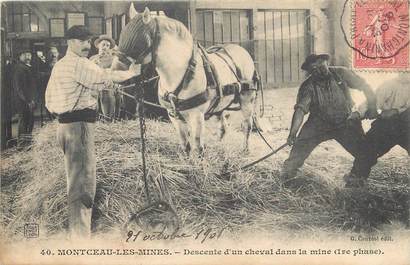 / CPA FRANCE 71 "Montceau les Mines" / CHEVAL